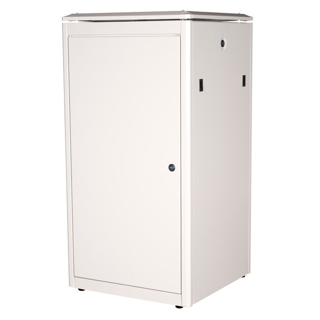 ROLINE 19-inch netwerkkast Pro 22 U, 600x600 BxD Glazen deur grijs