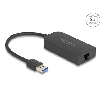 DeLOCK Delock USB Type-A Adapter to 2.5 Gigabit LAN