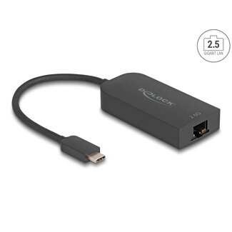 DeLOCK Delock USB Type-C™ Adapter to 2.5 Gigabit LAN