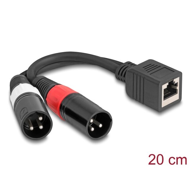 Delock Adapter Cable RJ45 jack to 2 x XLR 3 pin plug black 20 cm