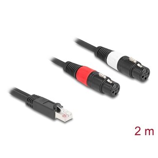 DeLOCK Delock Adapter Cable RJ45 plug to 2 x XLR 3 pin jack black 2 m