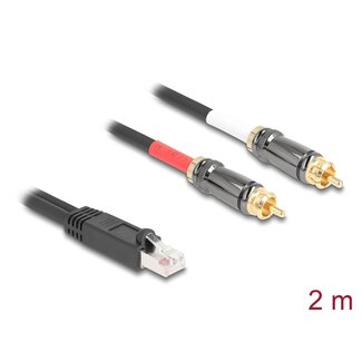 DeLOCK Delock Adapter Cable RJ45 plug to 2 x RCA male black 2 m