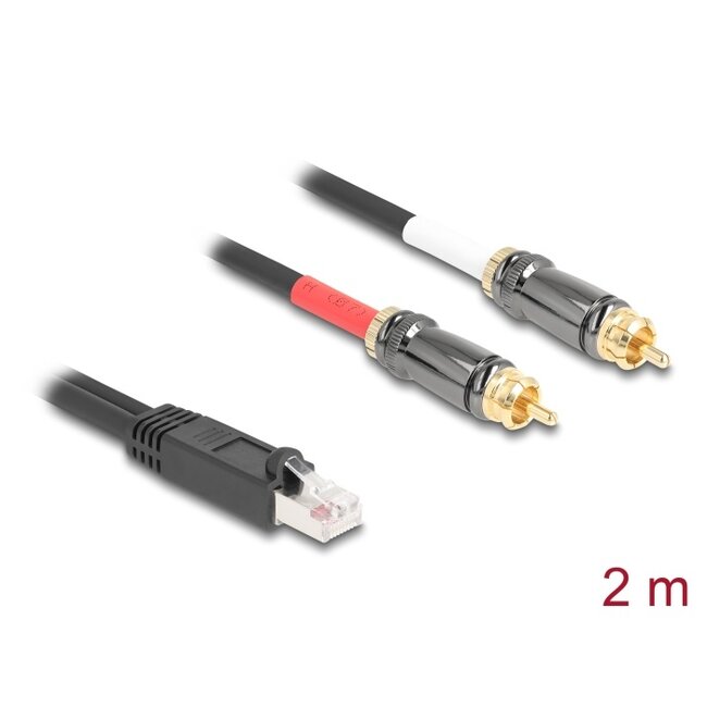 Delock Adapter Cable RJ45 plug to 2 x RCA male black 2 m