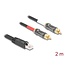Delock Adapter Cable RJ45 plug to 2 x RCA male black 2 m