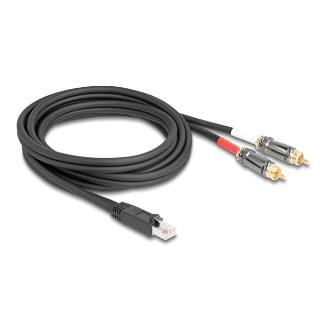 Delock Adapter Cable RJ45 plug to 2 x RCA male black 2 m