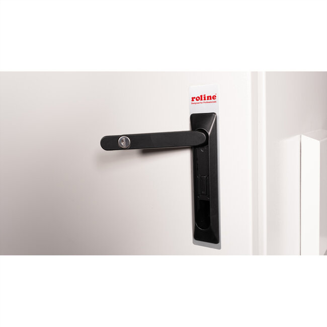 ROLINE 19-inch wandbehuizing Pro 9 U, 600x600 BxT IP55 buiten grijs