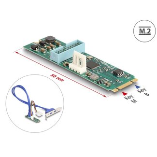 DeLOCK Delock Converter M.2 Key B+M male to 2 x USB 5 Gbps Type-A female with 50 cm cable