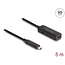 Delock Active USB 10 Gbps extension cable USB Type-C™ 5 m