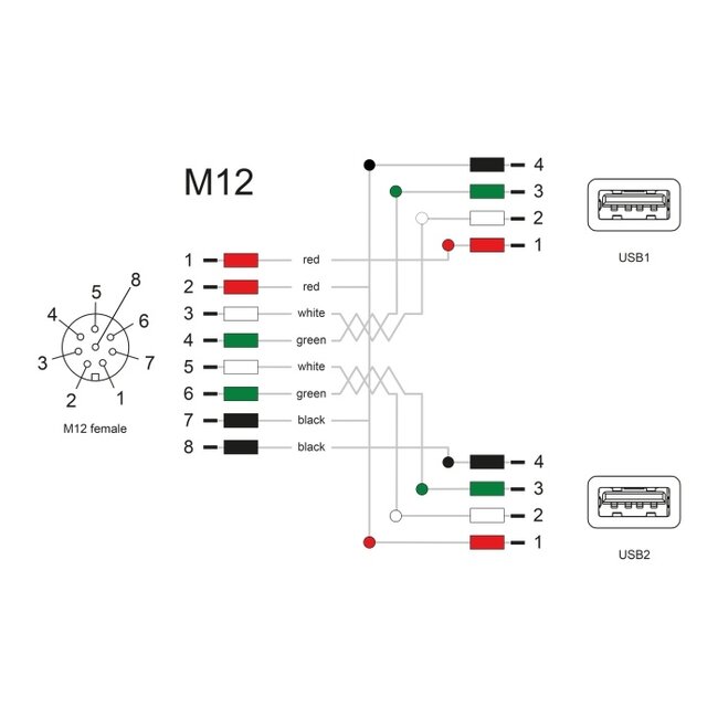 Delock M12 Cable A-coded 8 pin female to 2 x USB 2.0 Type-A female 1 m black