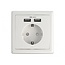 Delock inbouwstopcontact | 2x USB-A | 12W | wit