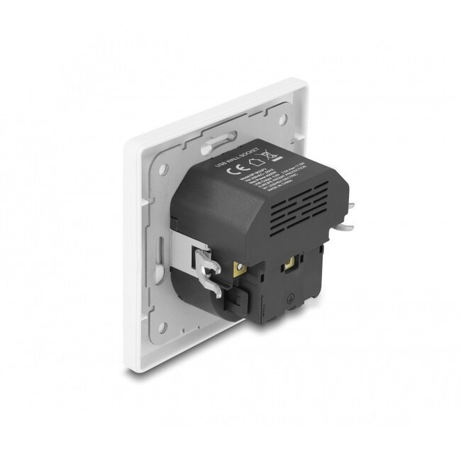 Delock inbouwstopcontact | USB-A + USB-C | 17W | wit