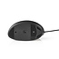 Nedis USB muis | ergonomisch | USB-A | 3600 dpi | 1,6 meter
