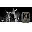 Wildcamera | 4K@10fps | 50 MPixel | 8 MPixel CMOS | IP65 | Zwart No-Glow IR | Nachtzicht | Kijkhoek: 100 ° | Bewegingssensor | Detectiehoek: 120 ° | Detectiebereik: 25 m | Scherm grootte: 2.4 " | LCD-Scherm | Bruin / Groen