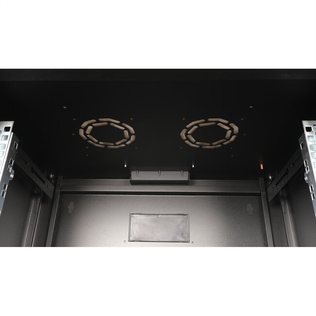 ROLINE 19-inch wandbehuizing Pro 20 U, 600x450 BxD zwart