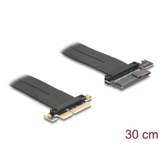 DeLOCK Delock Riser Card PCI Express 3.0 x4 male to U.2 SFF-8639 SSD slot with cable 30 cm