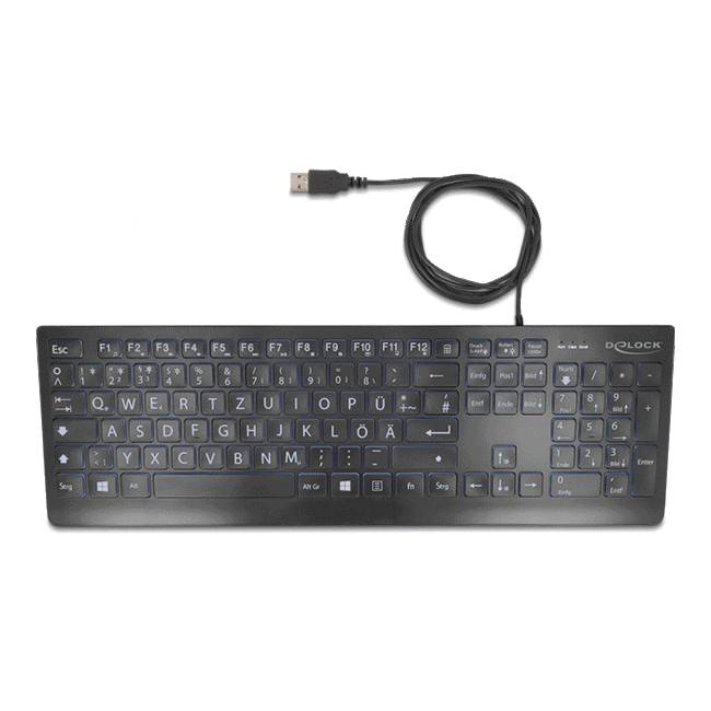 Delock USB Keyboard wired 1.5 m black with XXL letters and Illumination