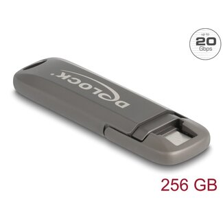 DeLOCK Delock USB 20 Gbps USB-C™ Memory Stick 256 GB, Read Speed: 1980 MB/s - Metal Housing