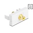 Delock Easy 45 Module RCA female to RCA female gold plated yellow / white