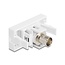 Delock Easy 45 Module BNC female to BNC female white