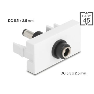 DeLOCK Delock Easy 45 Module DC 5.5 x 2.5 mm female to DC 5.5 x 2.5 mm male white