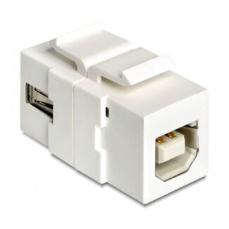 DeLOCK USB-A - USB-B Keystone module | dubbelzijdig | USB2.0 | wit