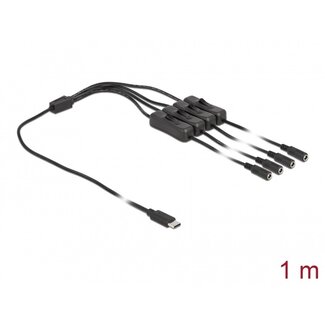 DeLOCK USB-C - 4x DC plug splitter | 5,5 x 2,1mm | max. 5V/3A (15W) | schakelaars | zwart | 1 meter