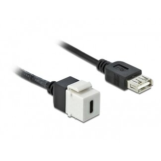 DeLOCK USB-C Keystone module - USB-A (v) | USB2.0 | wit | 0,25 meter