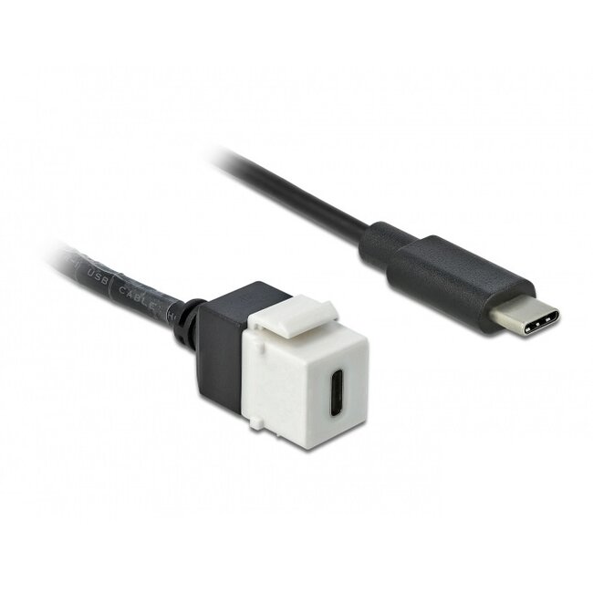 USB-C Keystone module - USB-C (m) | USB3.0 5 Gbps | wit | 0,25 meter