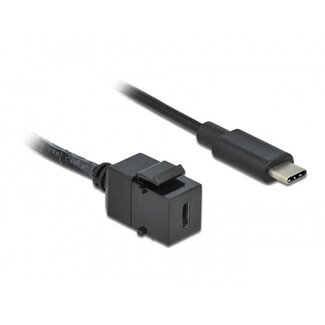 DeLOCK USB-C Keystone module - USB-C (m) | USB3.0 5 Gbps | zwart | 0,25 meter