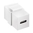 USB-C Keystone module | USB3.2 10 Gbps | wit
