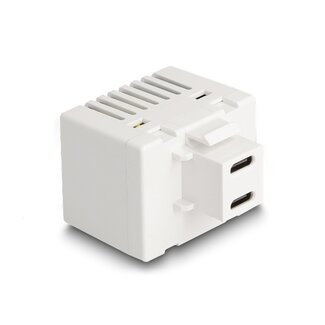 DeLOCK 2x USB-C - terminal block Keystone USB-lader module | 20W | wit