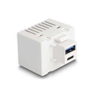 DeLOCK USB-C + USB-A - terminal block Keystone USB-lader module | 20W | wit