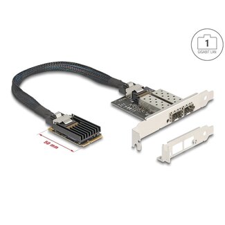 DeLOCK Delock Mini PCIe I/O PCIe full size 2 x SFP Gigabit LAN