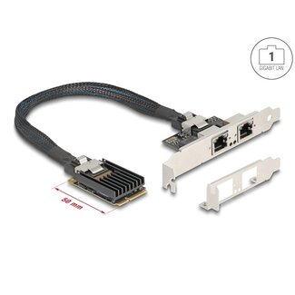 DeLOCK Delock Mini PCIe I/O PCIe full size 2 x RJ45 Gigabit LAN