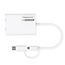 ROLINE Multi-DisplayLink Adapter USB Typ A+C - 2x HDMI, Multi-Stream 4K