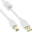 USB-A - USB-B kabel | ferrietkern | verguld | USB2.0 | 10W | wit | 0,50 meter