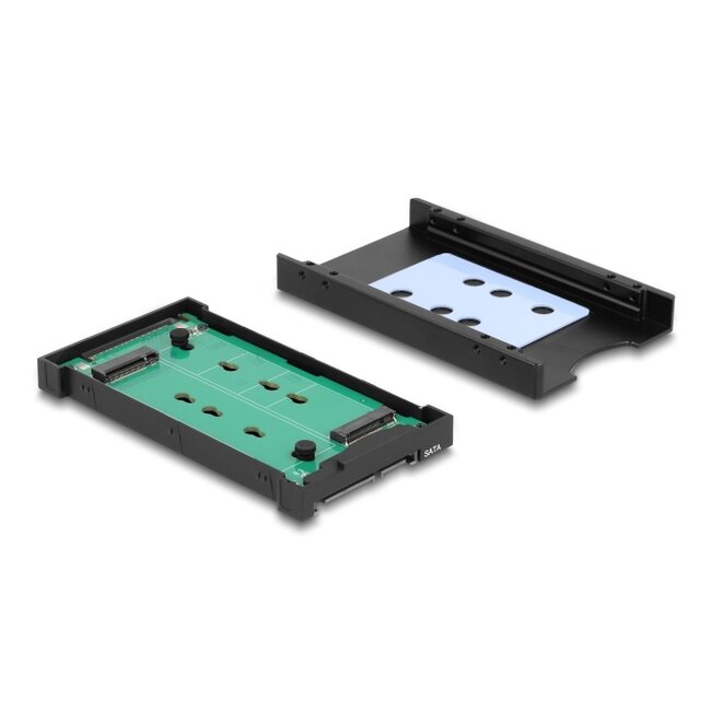 Delock Converter M.2 Key M NVMe SSD to U.2 or M.2 Key B SATA SSD to SATA - tool free