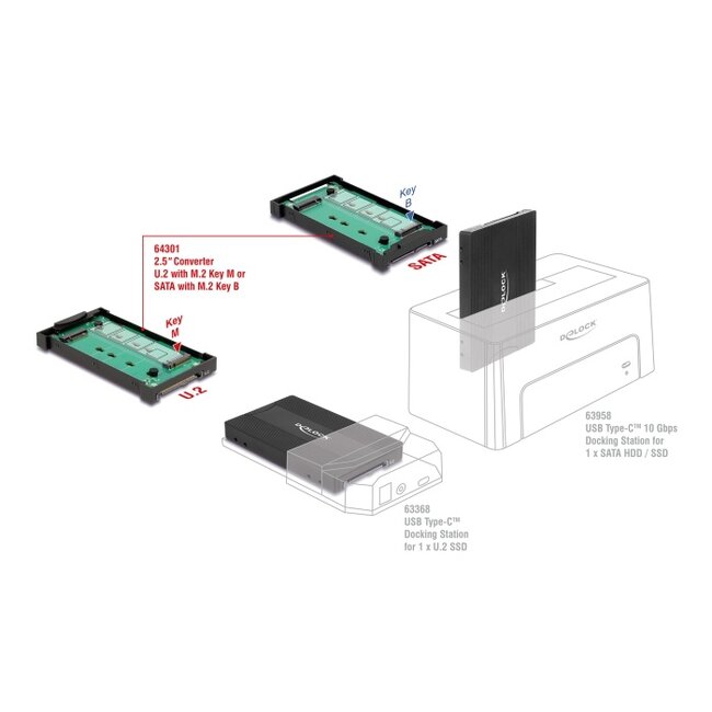 Delock Converter M.2 Key M NVMe SSD to U.2 or M.2 Key B SATA SSD to SATA - tool free