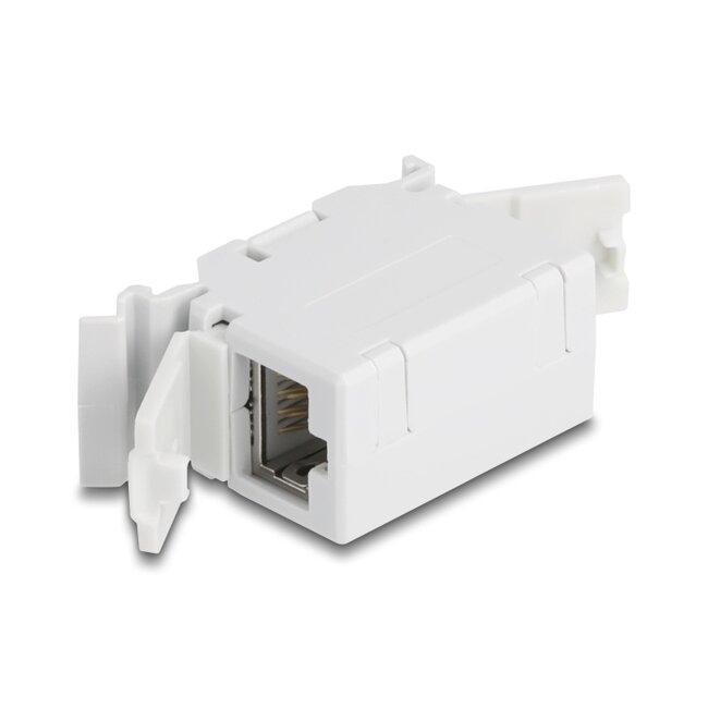 Delock RJ45 Coupler Cat.6A jack to jack with dust protection cap for DIN rail mounting grey