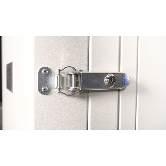 ROLINE 19-inch wandbehuizing Pro 20 U, 600x600 BxD tweedelig draaibaar grijs