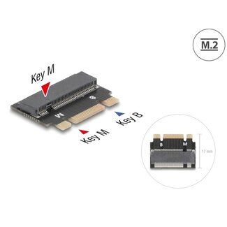 DeLOCK Delock Adapter M.2 Key B+M male to M.2 Key M slot - Extension