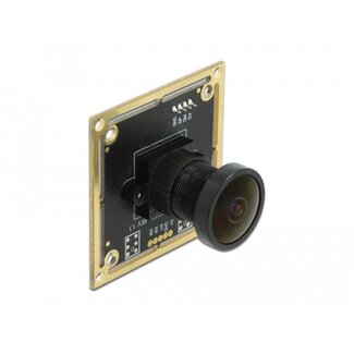 DeLOCK Delock USB 2.0 Camera Module with Wide Dynamic Range 1.92 mega pixel 120° V6 fix focus