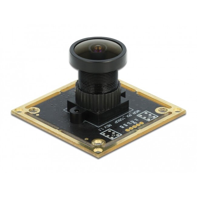 Delock USB 2.0 Camera Module with Wide Dynamic Range 1.92 mega pixel 120° V6 fix focus