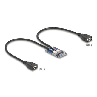 DeLOCK Delock Mini PCIe Adapter full size to 2 x USB 2.0 Type-A female 30 cm