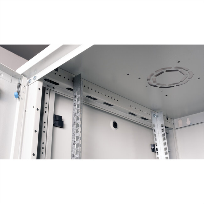 ROLINE 19-inch wandbehuizing Basic Plus 9U, 600x600 BxT grijs