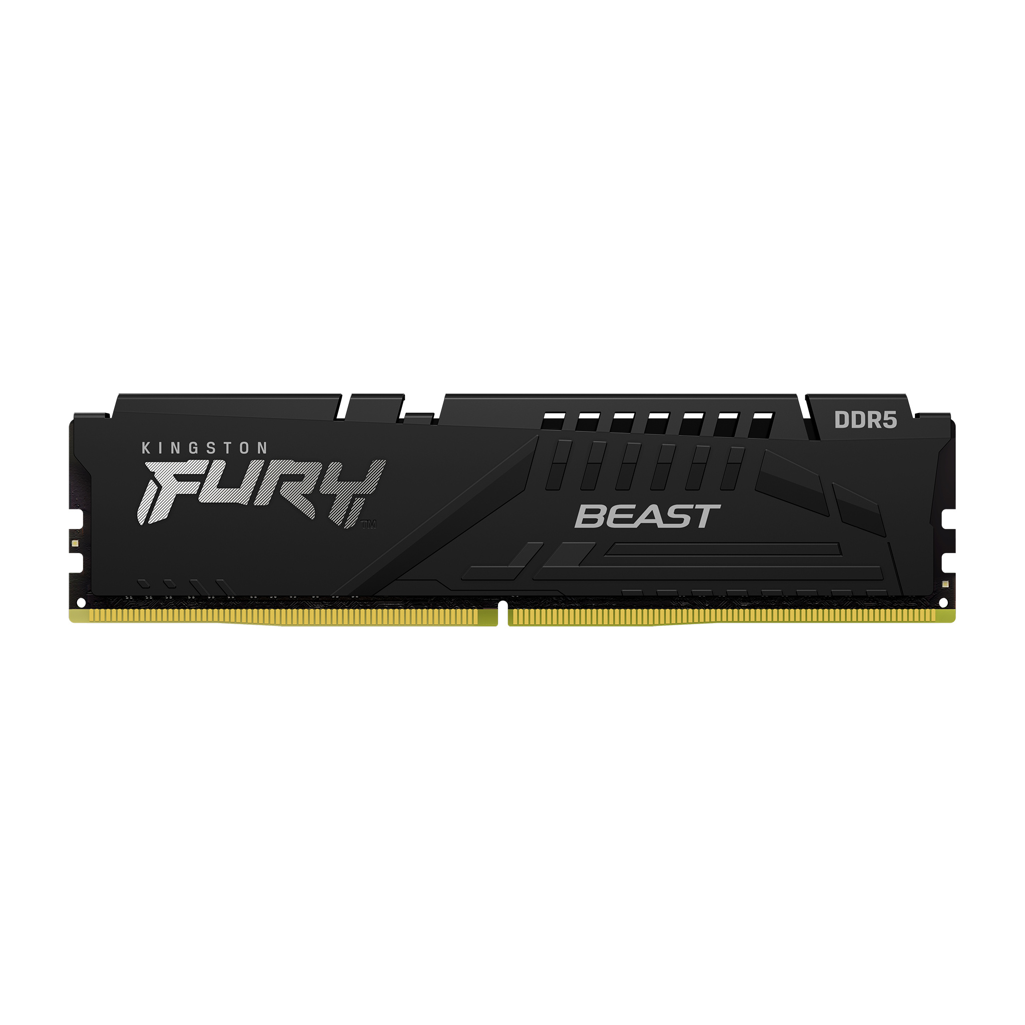 Kingston Fury Beast DDR5 16GB(1x16GB)