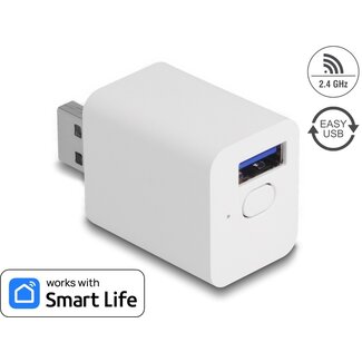 DeLOCK Delock WLAN EASY-USB Switch Smart Life