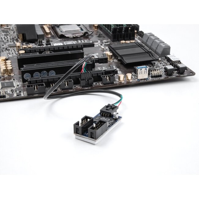 Delock Cable USB 2.0 pin header female 2.54 mm 4 pin to USB 2.0 pin header female 2.54 mm 10 pin 30 cm