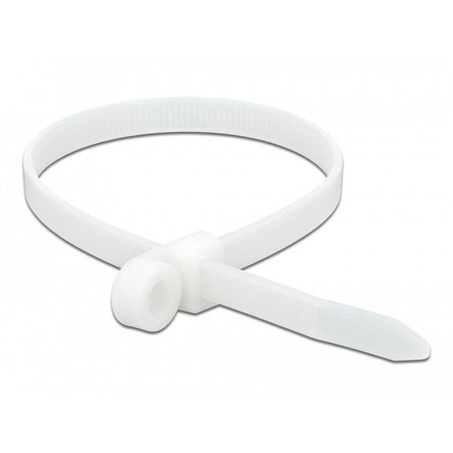 Tie-wraps met montagegat | 300 x 7,6mm | transparant | 10 stuks