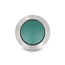 Delock Push Button for Installation 12 mm 2 x Screw Terminal green